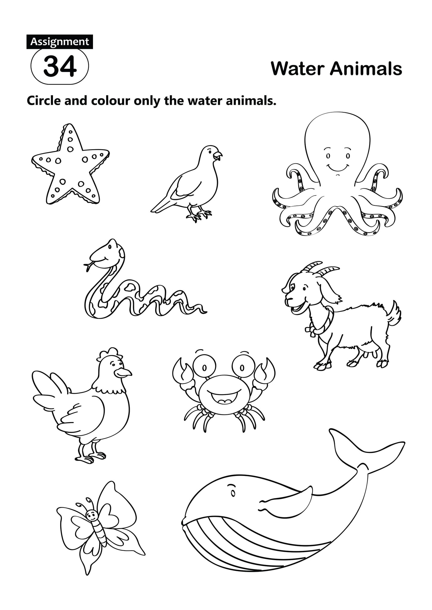 FUN AND LEARN ACTIVITY WORKBOOK FOR KIDS ENVIRONMENTAL STUDIES 1
