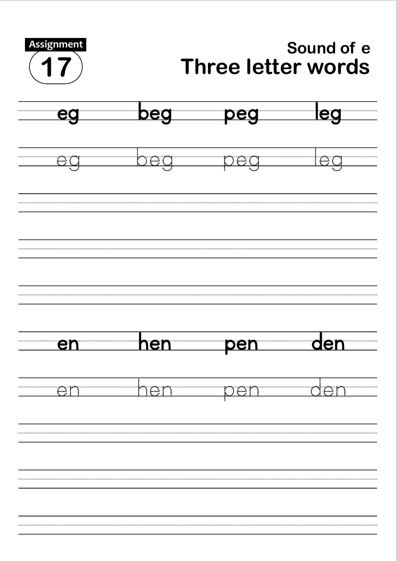 FUN AND LEARN ACTIVITY WORKBOOK FOR KIDS 2&3 LETTER WORDS