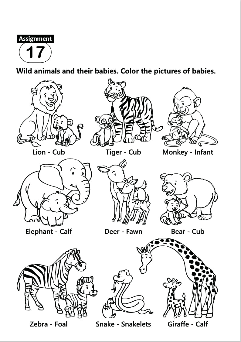 FUN AND LEARN ACTIVITY WORKBOOK FOR KIDS STEP INTO NURSERY TERM-2