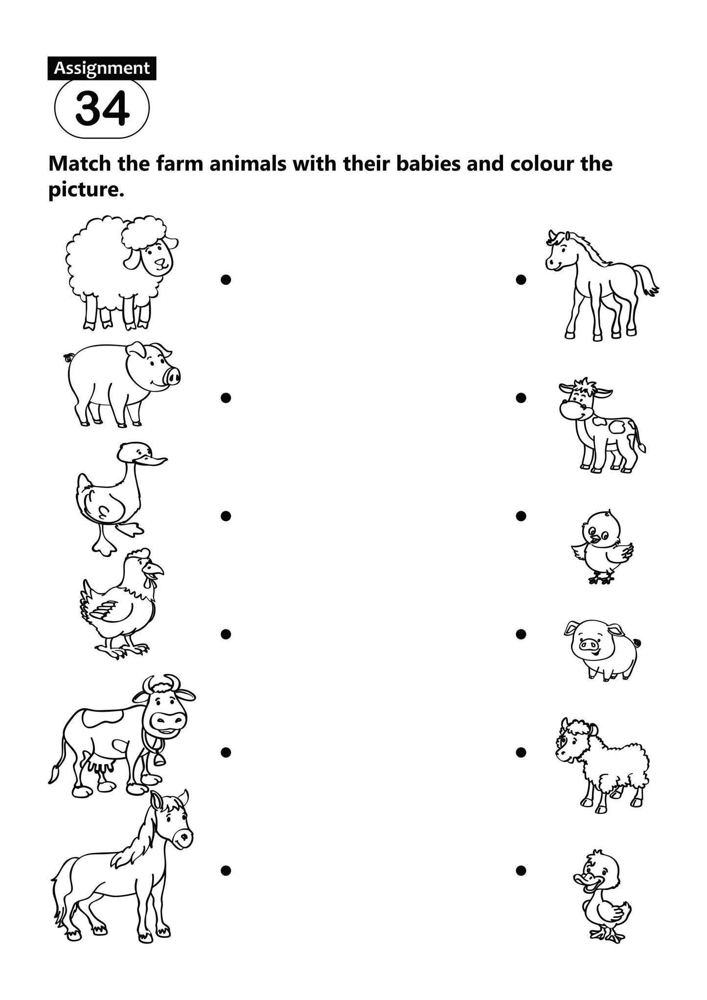 FUN AND LEARN ACTIVITY WORKBOOK FOR KIDS ENVIRONMENTAL STUDIES 2