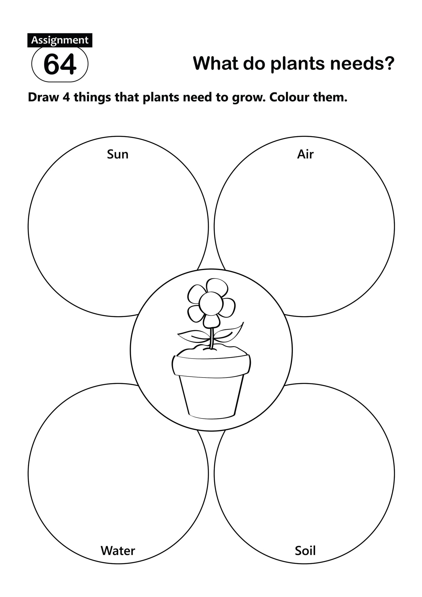 FUN AND LEARN ACTIVITY WORKBOOK FOR KIDS ENVIRONMENTAL STUDIES 2