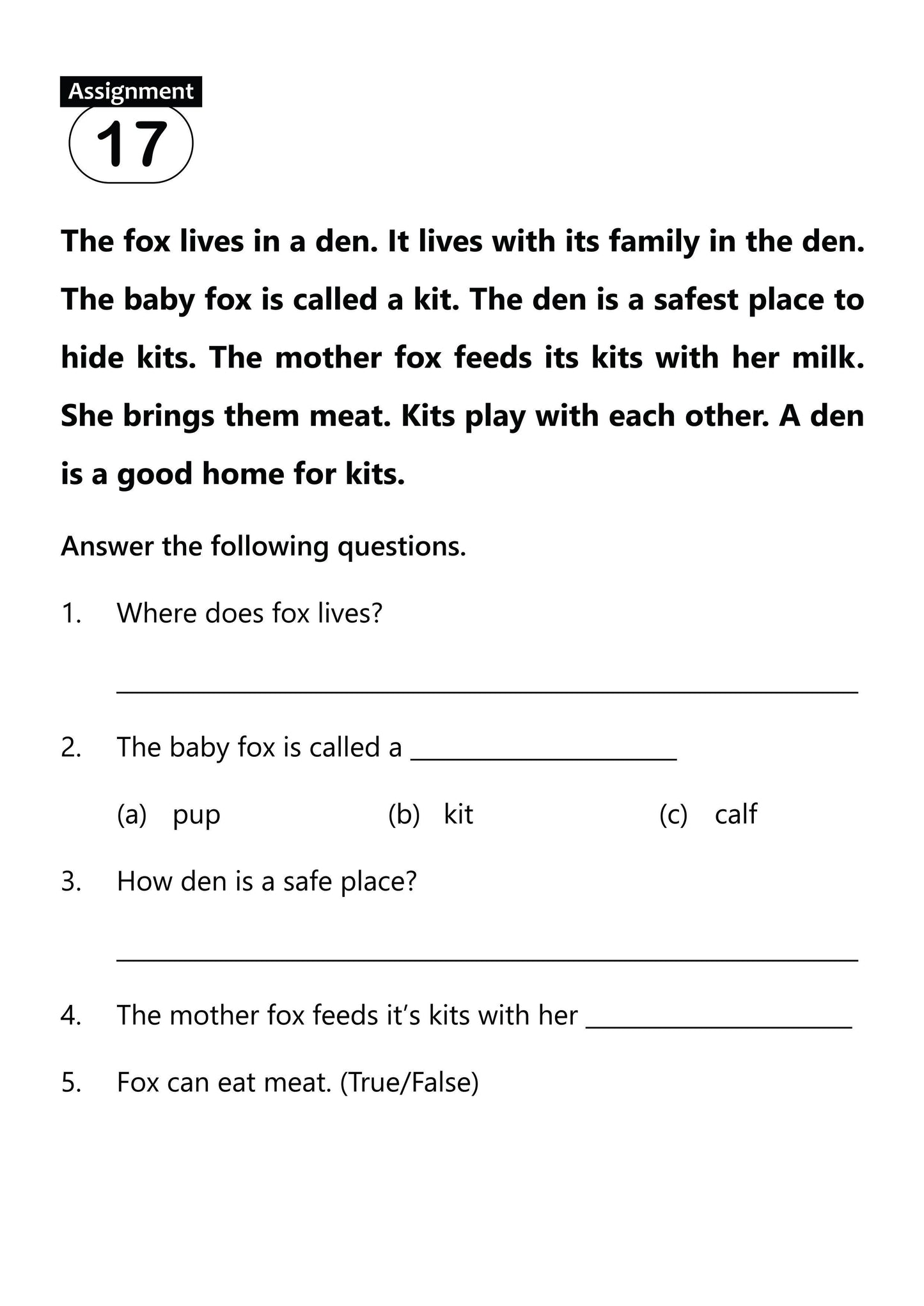 FUN AND LEARN ACTIVITY WORKBOOK FOR KIDS UNSEEN PASSAGE 2