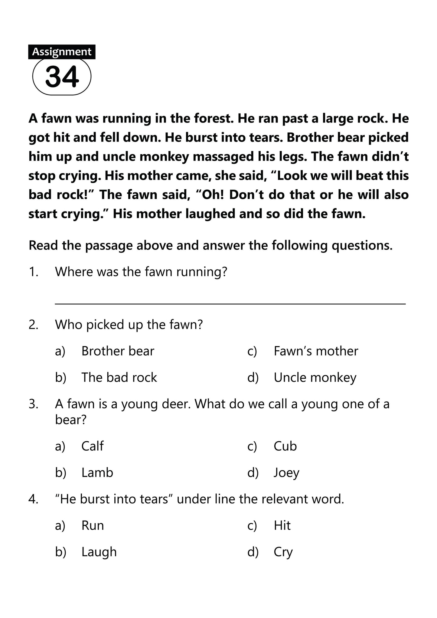 FUN AND LEARN ACTIVITY WORKBOOK FOR KIDS UNSEEN PASSAGE 3