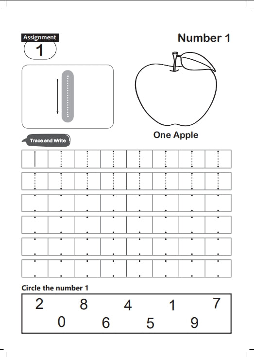 FUN AND LEARN ACTIVITY WORKBOOK FOR KIDS COUNTING 1-20