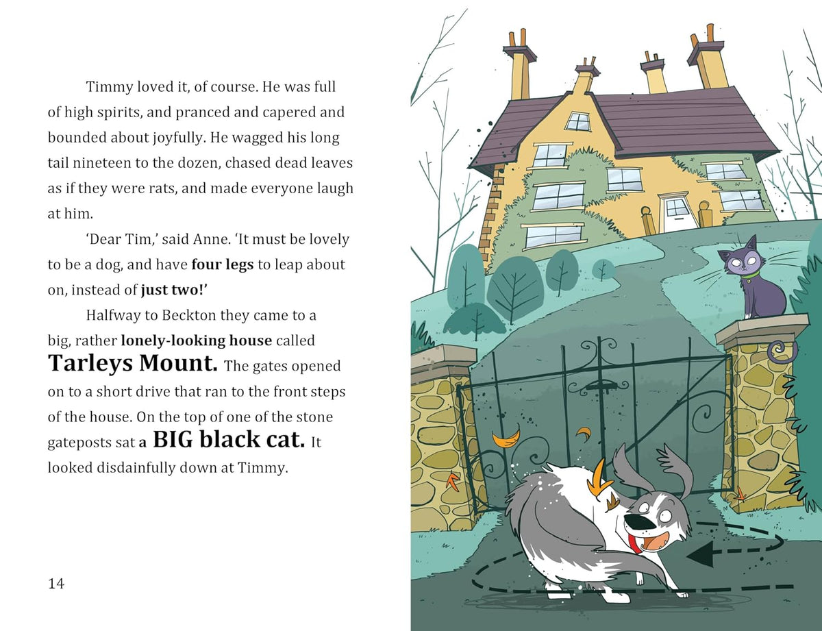 FAMOUS FIVE COLOUR READS: WHEN TIMMY CHASED THE CAT