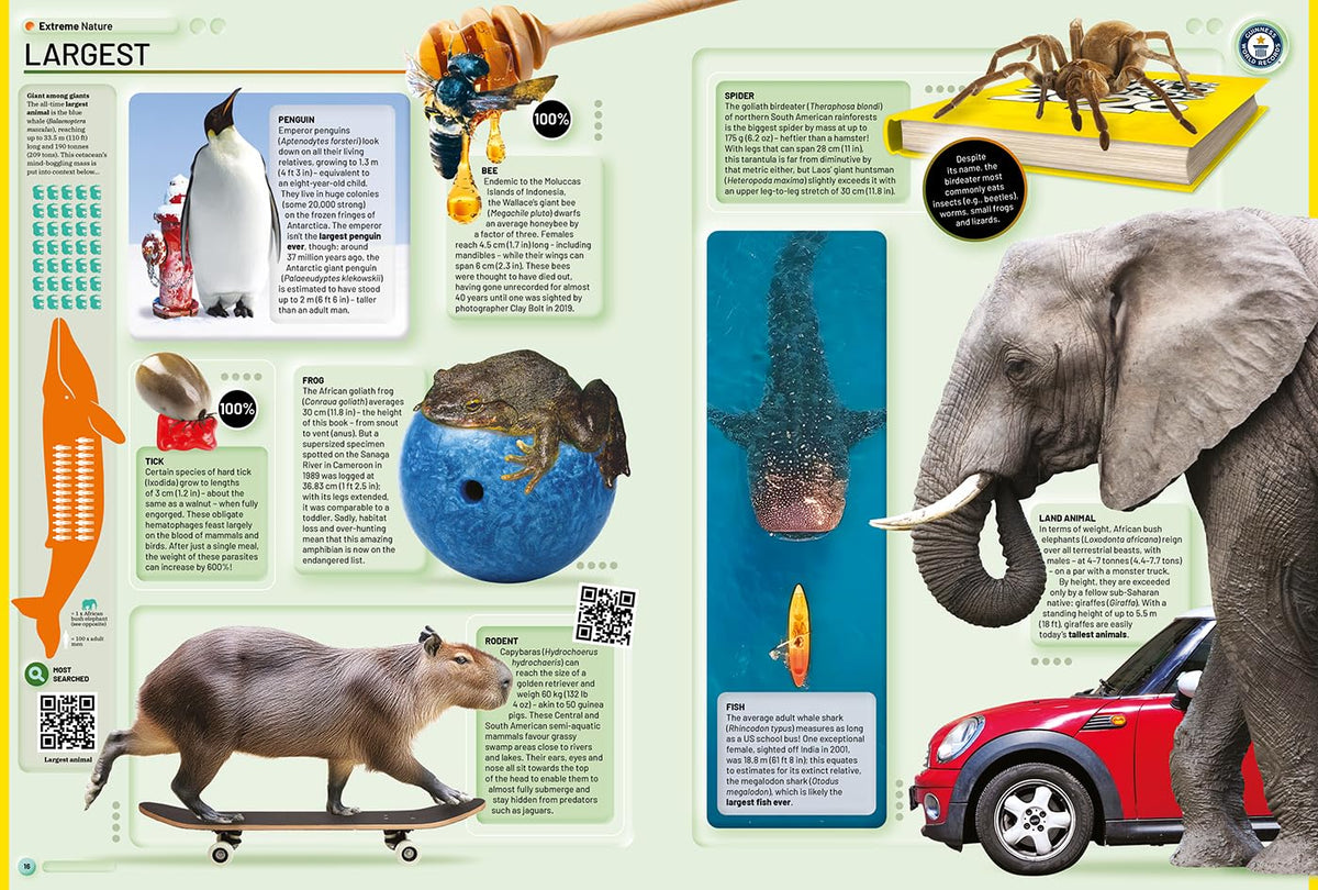 Guinness World Records 2026: The Official Yearly Edition Featuring Record-Breaking Achievements | Explore Fun Facts & Trivia | Perfect Gift Book for All Ages