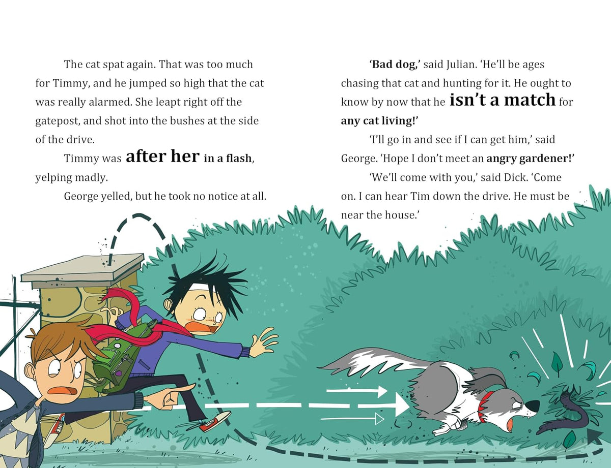 FAMOUS FIVE COLOUR READS: WHEN TIMMY CHASED THE CAT